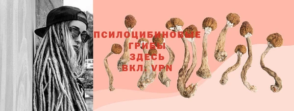 ПСИЛОЦИБИНОВЫЕ ГРИБЫ Абдулино
