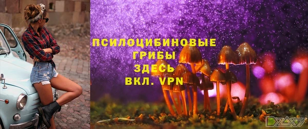 прущие крисы Абинск