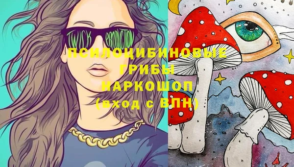 прущие грибы Алексин