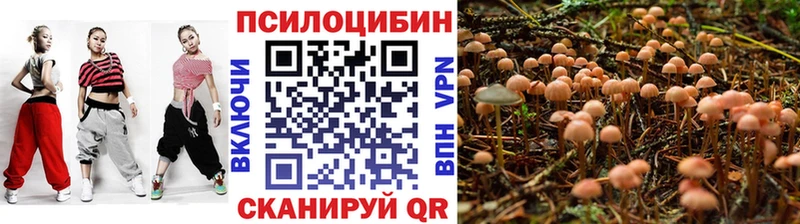 Псилоцибиновые грибы Psilocybe  Черноголовка 